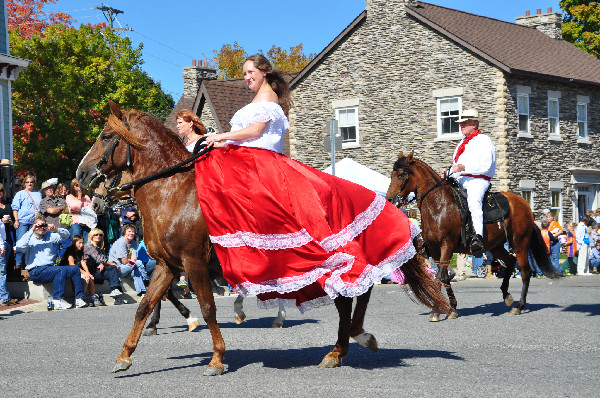 Celebration of the Horse in Metamora, MI